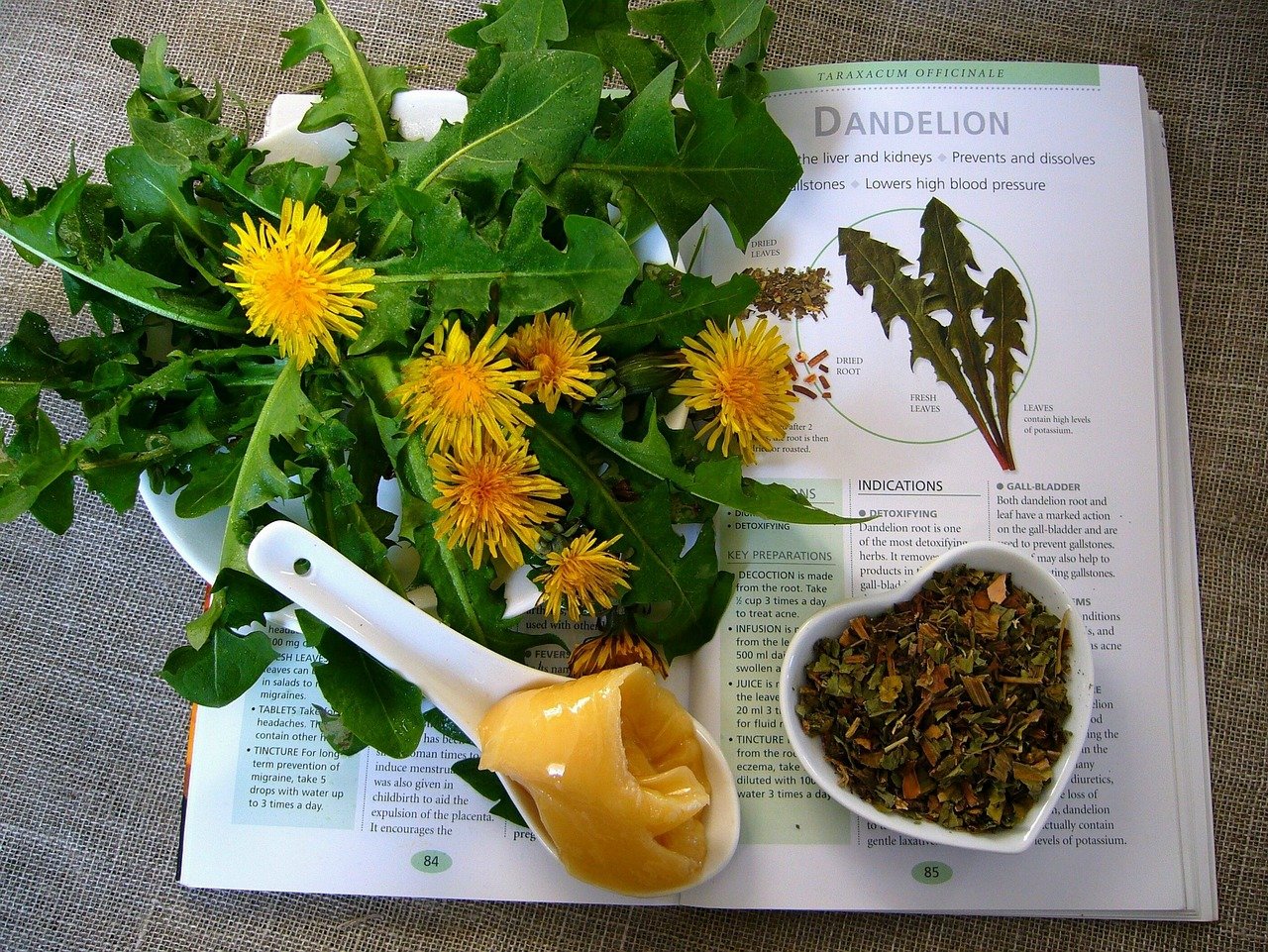 dandelion, herbal remedy, herbal remedies-4830854.jpg